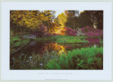 Secret Garden I