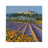 Hill Town  Provence