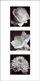 Flower Panel I