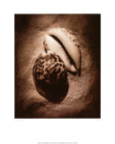 Cowrie