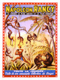 Napoleon Rancy