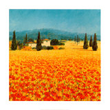 Farm Near Montefiorale