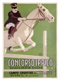 Concorso Ippico