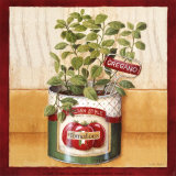 Kitchen Herbs: Oregano