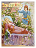 The Sleeping Beauty