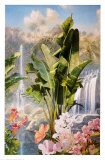 Tropic Waterfalls