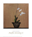 Pacific Serenity II