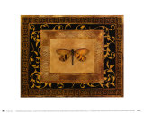 Dragon Fly II