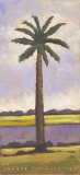 Summer Day Palm II