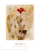Sendree I