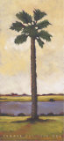 Summer Day Palm I