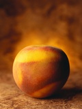 Nectarine