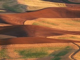 Fields in the Palouse