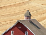 Red Barn in a Wheat Field