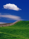 Wheat Field and Fence
