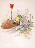 The Frog in a Shoe