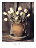 Tulips on Bench