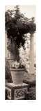 Jardin Botanico