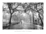 Poet's Walk  Central Park  New York City