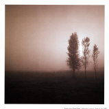 Bordeaux Trees