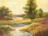 Backyard Pond