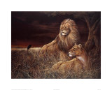 Winds of the Serengeti