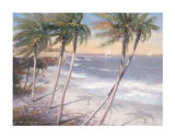 White Sand Beaches
