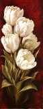 Magnificent Tulips I