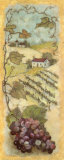 Classic Vineyard I