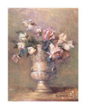 Summer Roses