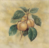 Apricots