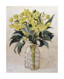 Hellebore in Wire Bottle