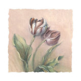 Tulip Bouquet