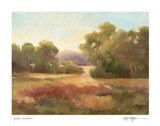 Golden Meadows