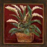 Simply Red II
