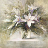 Afternoon Mist II