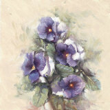 Blue Splendor