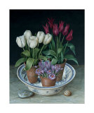 Tulip and Crocus I