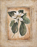 Botanical Texture II
