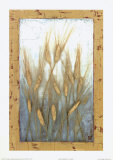 Wheat Grasses