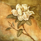 Burlap Magnolia II