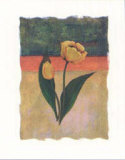 Tulip Abstract V
