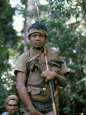 tenison