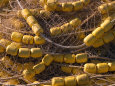 Fishing Net with Yellow Floats, Alaska Photographic Print by Ralph Lee