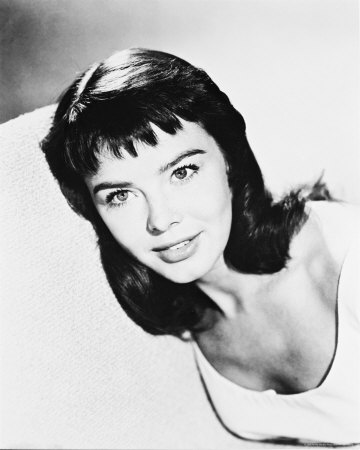 Janet Munro Photos - Filmbug