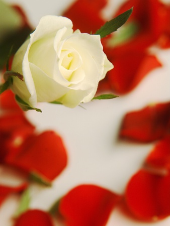 ������ ���� ������ �� ���� ������