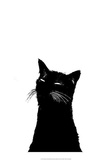 Black Cats, Posters and Prints at Art.com